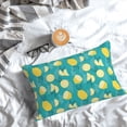 thumbnail image 5 of Gaeub Lemon Blue Print Double Sided Plush Decorative Throw Pillow Cover, Sofa Cushion Cover, Plush Cushion Cover，Excluding Pillow Core-14"x20", 5 of 6
