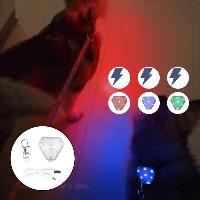 Collar de perro Luces LED que brillan en Plástico impermeable Etiqueta de perro Luz de seguridad para mascotas Luces nocturnas para Salvador Luz nocturna para caminar