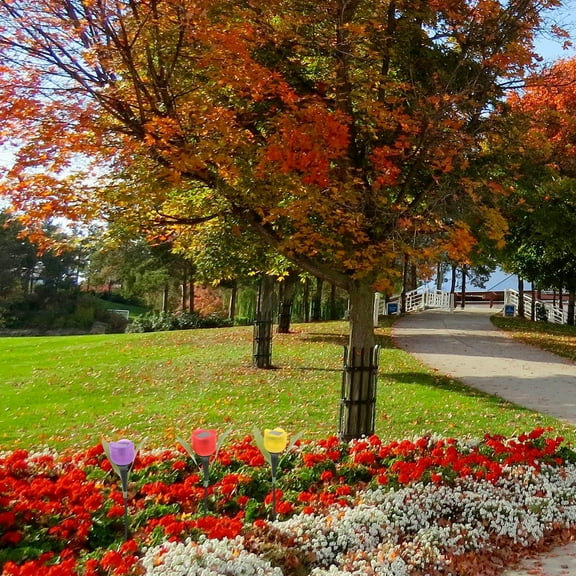 OUNONA  3 Pcs Tulip Solar Lantern Waterproof Lights Outdoor Lighting