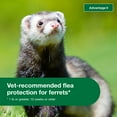 thumbnail image 2 of Advantage II Vet-Recommended Flea Prevention for Ferrets 1 lb+, 2-Monthly Treatments, 2 of 7