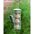 thumbnail image 2 of Pacific Bird & Supply Co. Insect + Hot Pepper Suet Balls, 6pk, 2 of 3