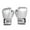 Silver, variant on BLEEUS 2Pcs Boxing Gloves Kickboxing Training Gloves For Boys Girls Youth Fitness Supplies (Pink)