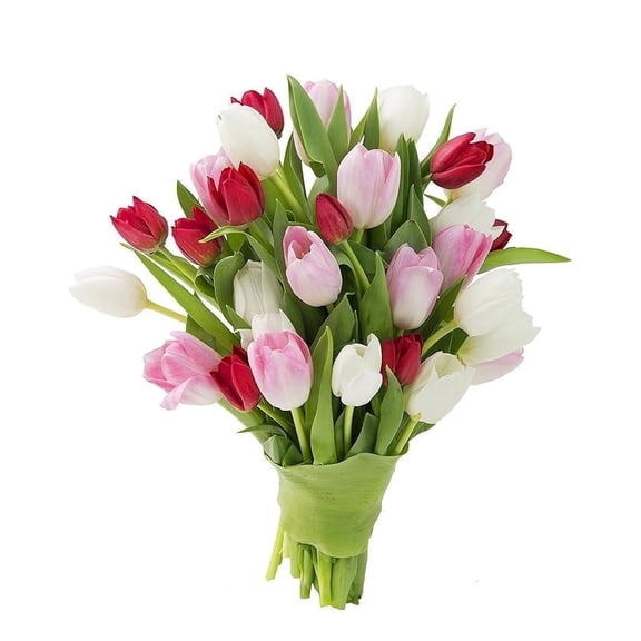 KaBloom :Bouquet of 30 Assorted Tulips Next-Day Delivery, Gift for Every Occasion.