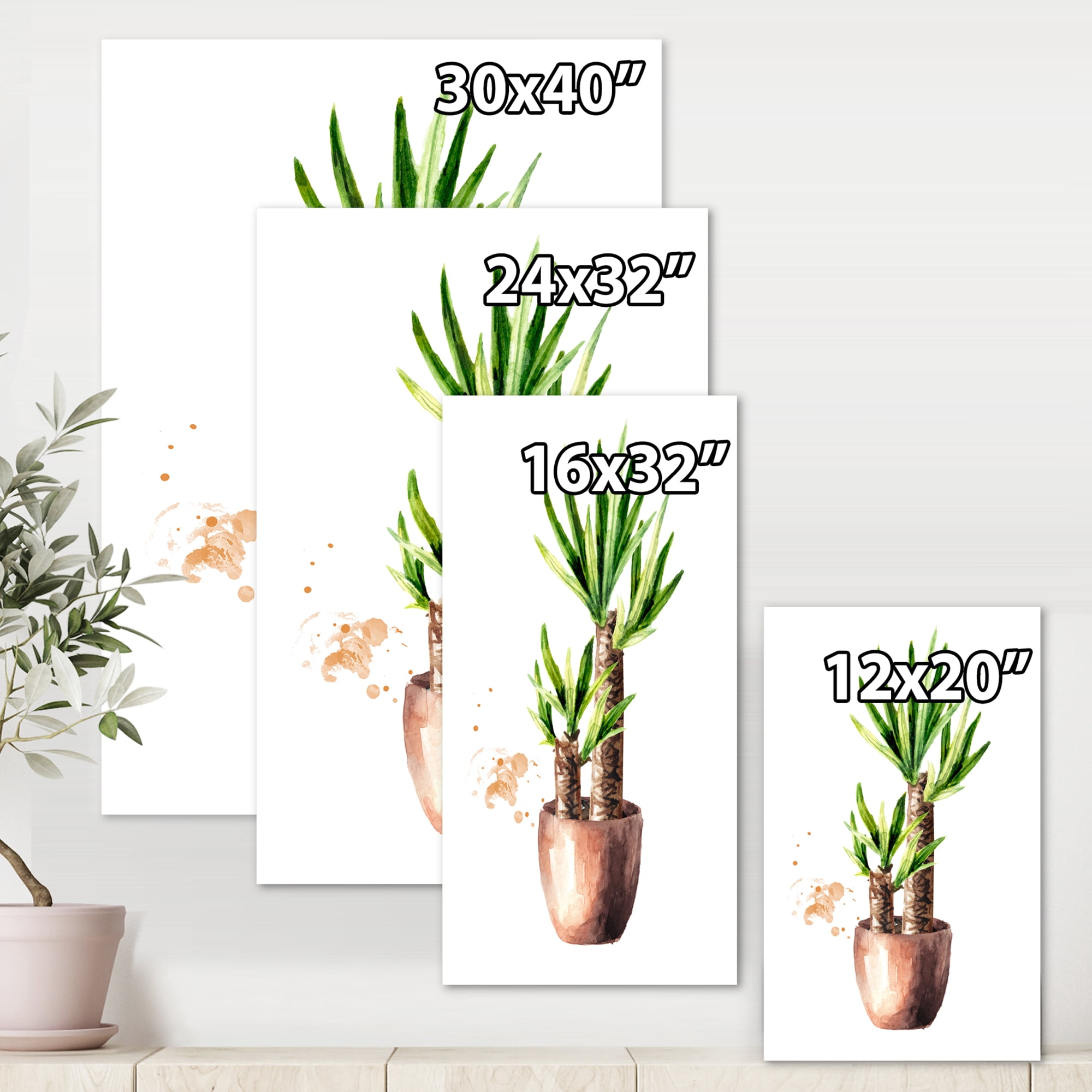 Designart ' Yucca Tree In The Ceramic Flower Pot On White ' Traditional Canvas Wall Art Print