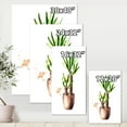 thumbnail image 4 of Designart ' Yucca Tree In The Ceramic Flower Pot On White ' Traditional Canvas Wall Art Print, 4 of 4