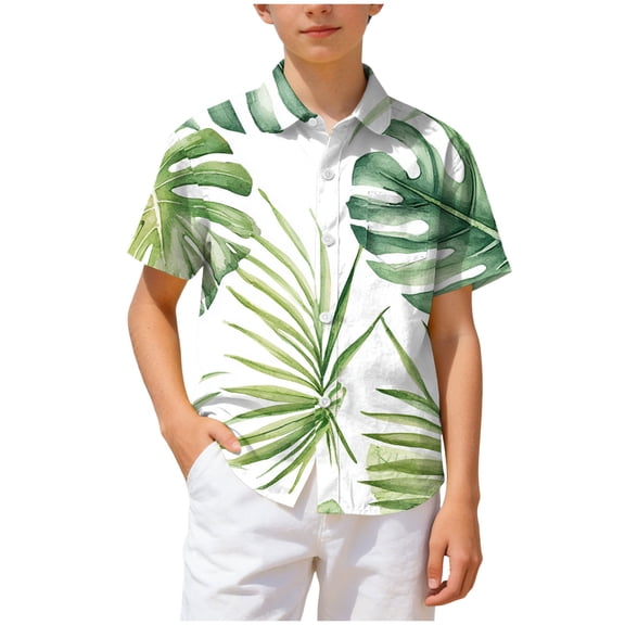 felwors Baby Boys' and Toddler Poplin Short Sleeve Button Down Shirt (11-12 Years, Light Green)