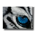 thumbnail image 1 of Epic Graffiti 'Tiger Eye' by Jan Henderson, Giclee Canvas Wall Art, 54"x40", 1 of 8