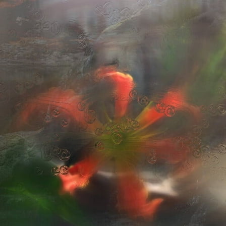 Upsammy - Germ in a Population of Buildings - Music & Performance - Vinyl