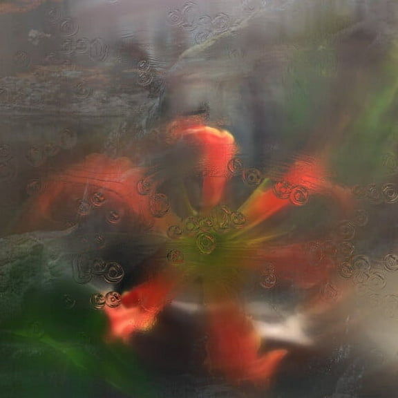 Upsammy - Germ in a Population of Buildings - Music & Performance - Vinyl