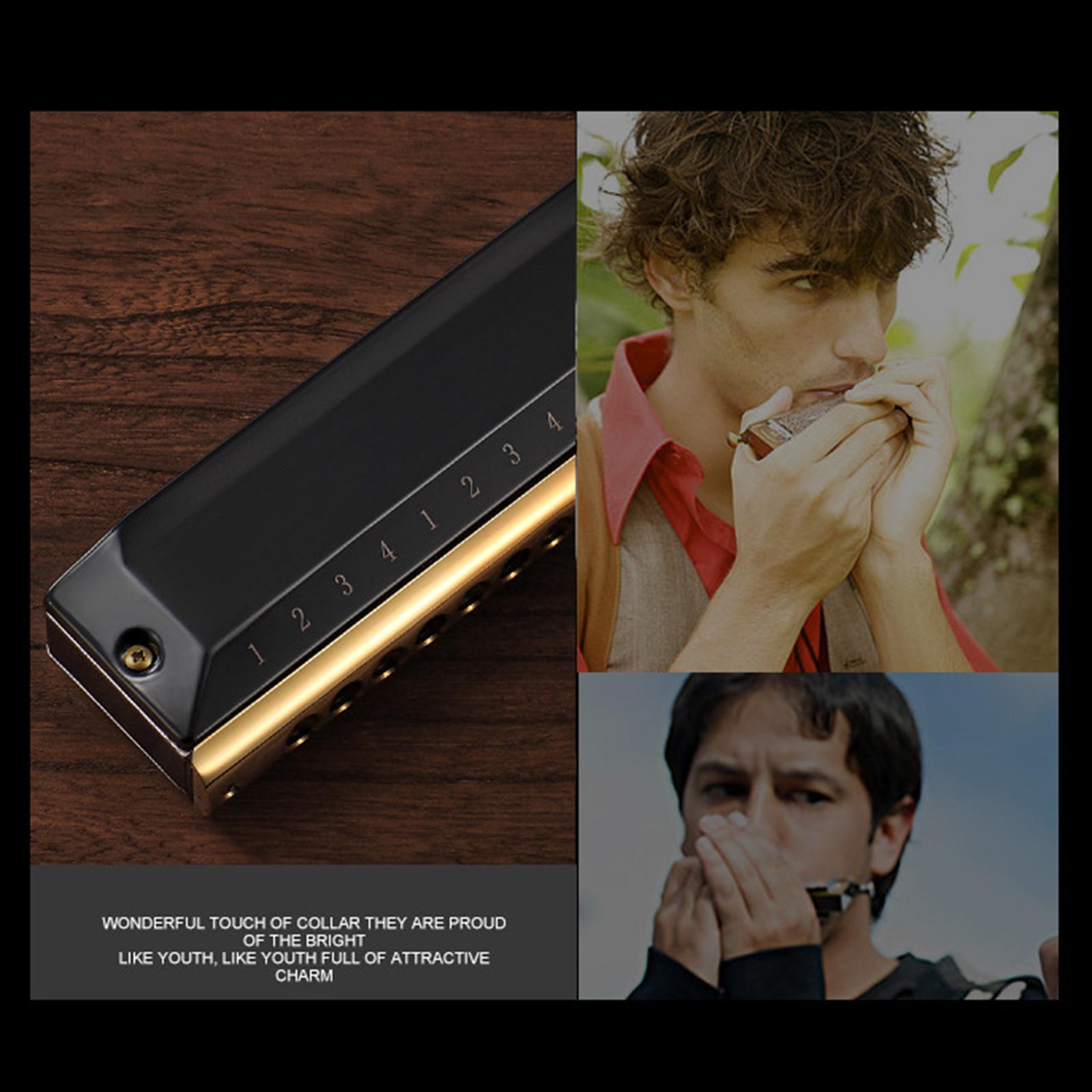 Yihuala 12 Holes 48 Tones Professional Chromatic Harmonica, Mouth Organ, Professional