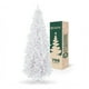 thumbnail image 1 of Árbol de Navidad Pino Canadiense Tipo Lápiz, Esquimal (Blanco Nacarado, 1.80 m), 1 of 6