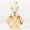 Champagne & White, variant on ABCISI 14ML Crystal-Glass Empty Perfume Bottle, Octagonal Vintage Refillable Small Essential Oil Bottles Home Decoration, Suitable for Custom Perfume and Essential Oil Collections (Champagne & White)