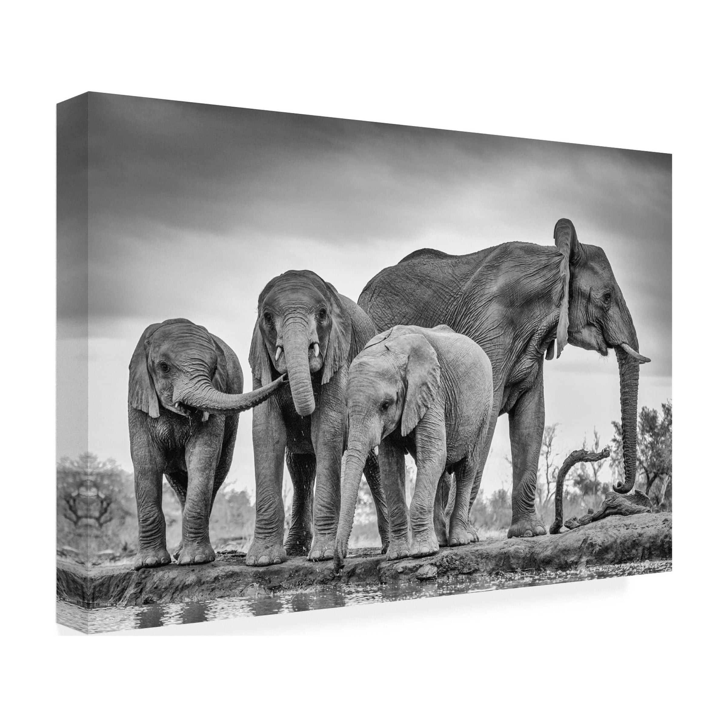 Jaco Marx 'A Giant Unity' Canvas Art