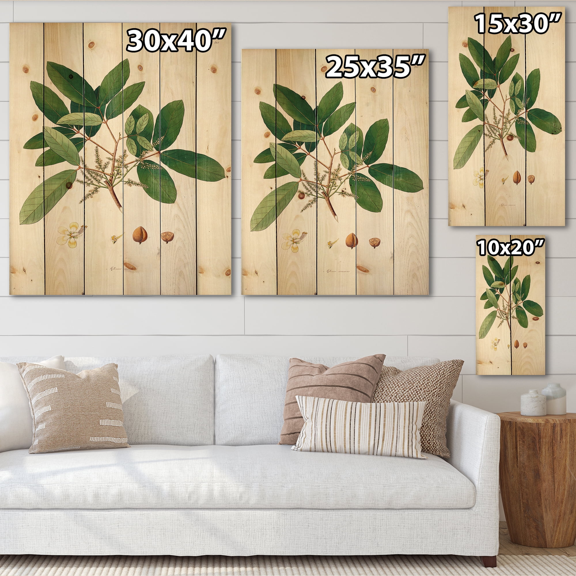 Designart 'Ancient Botanicals II' Farmhouse Print on Natural Pine Wood