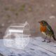 thumbnail image 4 of TABLETREANDS Para Pájaros De Material Transparente Con Y Espacioso Para Loros, 4 of 8