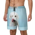 thumbnail image 2 of Haiem Puppy Licks Nose Mens Swim Trunks with Compression Liner 2 in 1 Swimming Shorts Stretch Swimwear Quick Dry,Board Shorts-3X-Large, 2 of 9