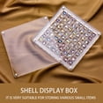 thumbnail image 3 of TNOBHG Jewelry Organizer Box Acrylic Seashell Display Box with Magnetic Closure 36/64 Grids Square Craft Organizer for Natural Stones Nail Art Beads Charms, 3 of 8