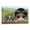 Frame-style, variant on Margaret Keane We Roam Poster Art Poster Canvas Painting Decor Wall Print Photo Gifts Home Modern Decorative Posters 12x18inch(30x45cm)