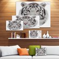 thumbnail image 4 of Design Art - White Bengal Tiger, 4 of 4