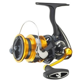 Shimano Nexave Freshwater Spinning Combo Fishing Rod and
