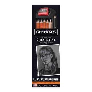 Pacific Arc Artist Vine Charcoal, Soft, Black 4 Charcoal Sticks for  Drawing, Sketching, and Fine Art
