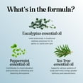 thumbnail image 4 of Breathe Easy Mint & Eucalyptus Essential Oil Blend - Calming Sleep Essential Oil for Diffuser - Maple Holistics Peppermint & Tea Tree Essential Oils for Home Aromatherapy, 4 of 8
