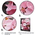 thumbnail image 3 of Designart "Apple Blossom Monochromatic gracefulness XVI" Floral Floater Framed Canvas Print, 3 of 7