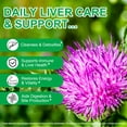thumbnail image 6 of Liver Support Gummies, Liver Detox & Cleanse, Herbal Supplement with Milk Thistle, 60 Count, 6 of 10