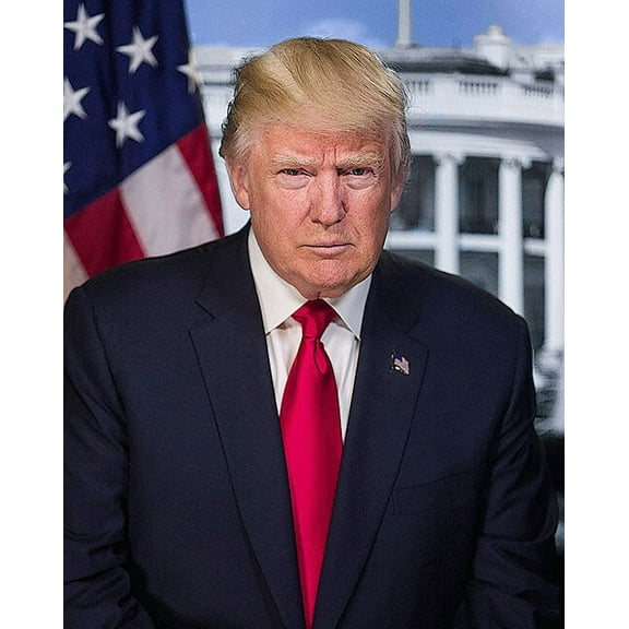 President Donald Trump Official Presidential Portrait - 12x18 Inch Laminated Poster - Stunning Detail and Bold Colors