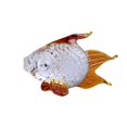 thumbnail image 1 of Glass Fish Shape Table Decor Portable Replacement Vivid Lifelike Colorful Home Computer Desk Ornament Decoration Green, 1 of 8