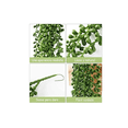 thumbnail image 3 of Plantas Artificiales De Perlas Suculentas Colgantes De 4 Pzs Xtellar verde, 3 of 3