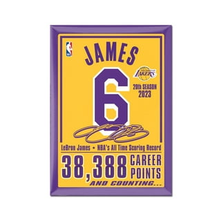 L.A. Lakers Flag-3x5 NBA Lakers Banner-100% polyester — YETflag
