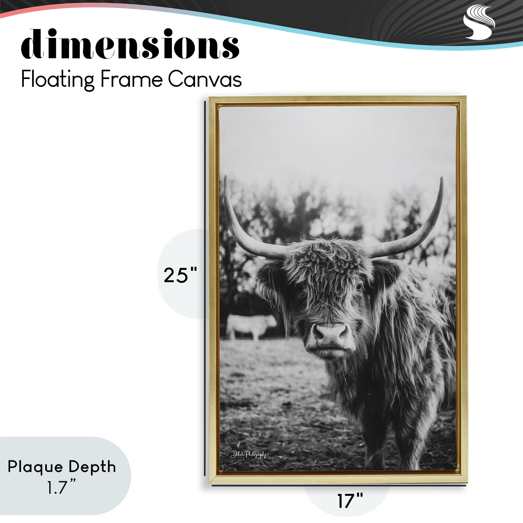 Stupell Industries Peering Highland Cattle Gold Framed Floater Canvas Wall Art, design by Dakota Diener
