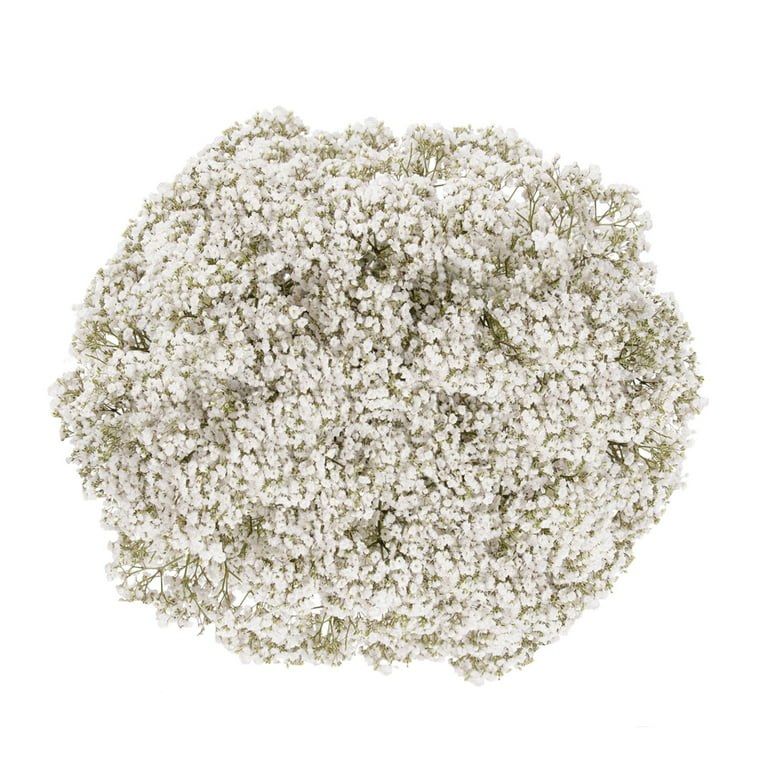 White 5 Foot Baby's Breath Garland, 8" Diameter - Potomac Floral  Wholesale