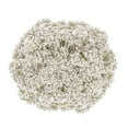 thumbnail image 5 of Baby's Breath - Fresh Cut Flowers - 5 Bunches - White - by Bloomingmore, 5 of 7