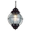 Trans Globe Lighting - One Light Outdoor Medium Hanging Lantern-Black Finish