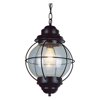 69903 BK-Trans Globe Lighting-One Light Outdoor Medium Hanging Lantern-Black Finish
