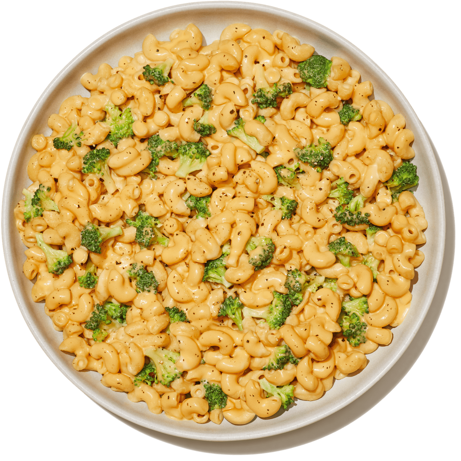 (6 pack) Banza Elbows Pasta from Chickpeas - Gluten Free, High Protein, and Lower Carb Protein Noodles, 8oz
