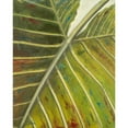 thumbnail image 3 of Pinto, Patricia 20x24 Black Modern Framed Museum Art Print Titled - Green Zoom I, 3 of 5