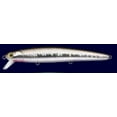 thumbnail image 2 of LUCKY CRAFT SW Surf Pointer 115MR 714 Metallic Sardine, 2 of 7