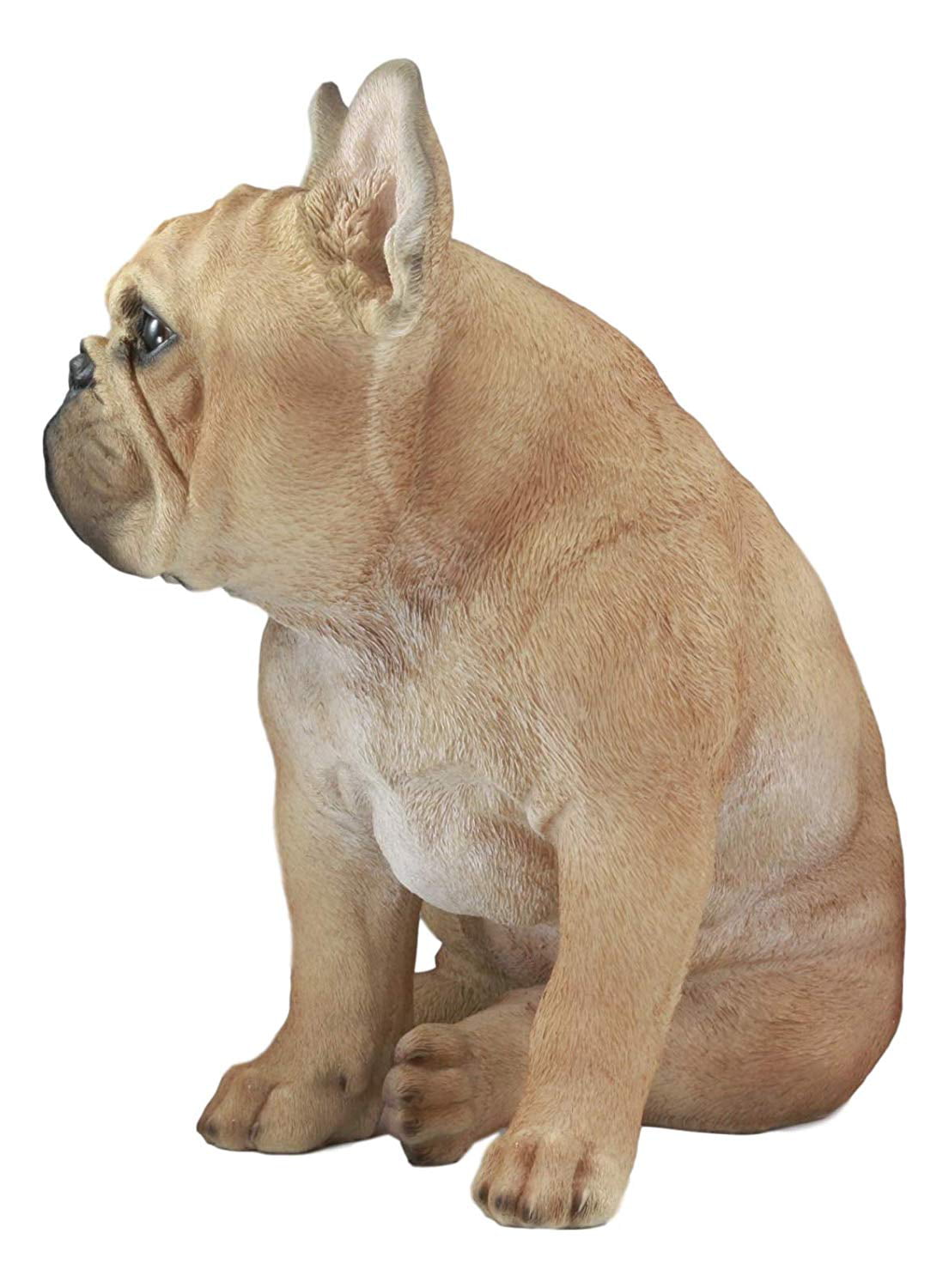 Ebros Large Lifelike Realistic French Bulldog Statue with Glass Eyes 15.75