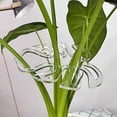 thumbnail image 6 of JASKFLY Plant Support Stakes -5.90x5.70in Plastic Climbing Plant Stakes for Indoor Outdoor Gardening and Plant Care(Clear), 6 of 9
