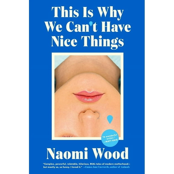 This Is Why We Can't Have Nice Things, (Paperback)