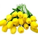 thumbnail image 1 of 20 piezas de tulipanes artificiales, tulipanes de tacto Real, ramos de flores, tulipanes falsos, flores de tulipanes de Pu, 1 of 5