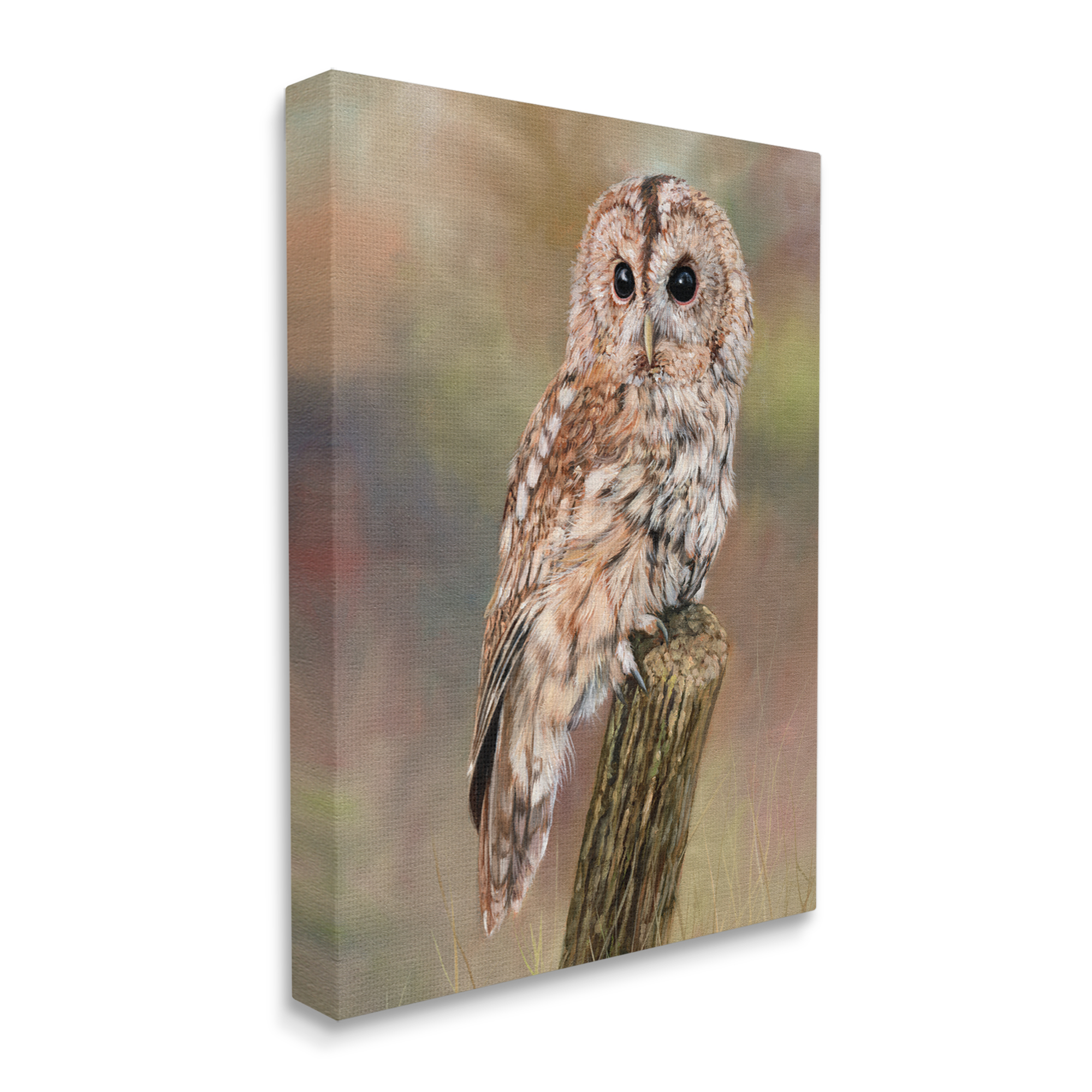 Stupell Industries Brown Tawny Owl Perched Intricate Woodland Wildlife Painting Painting Gallery Wrapped Canvas Print Wall Art, Design by David Stribbling
