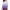 Purple, variant on Cavosen Scrub Tops for Women 3/4 Sleeve Blue V Neck Scrub Shirts Stretchy Soft Xmas Gradient Wrap Scrub Tops with Pocket Lightweight Workwear Anti-Wrinkle Underscrub Tee Tunic S