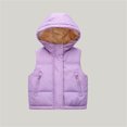 thumbnail image 2 of Toddler Kids Hooded Puffer Vest, Boys Girls Lined Sleeveless Jacket, Warm Zip Up Padded Waistcoat with Pockets for Fall Winter Outerwear(Purple,3-4 Years), 2 of 7