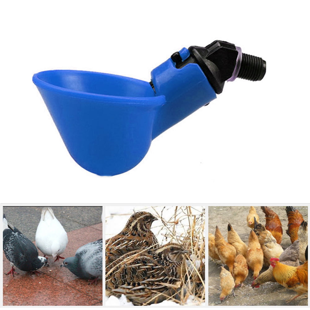 Automatic Pet Feeder Chicken Quail Poultry Bird Pheasant Feed Water Tool 30 G*HW 