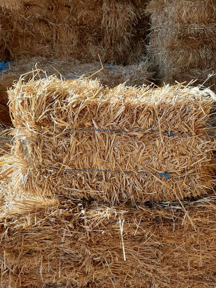 Double F Farms Premium 100% Natural Straw for Animal Bedding, Garden Mulch, Compost & Fertilizer, and Grass Cover (4LB)