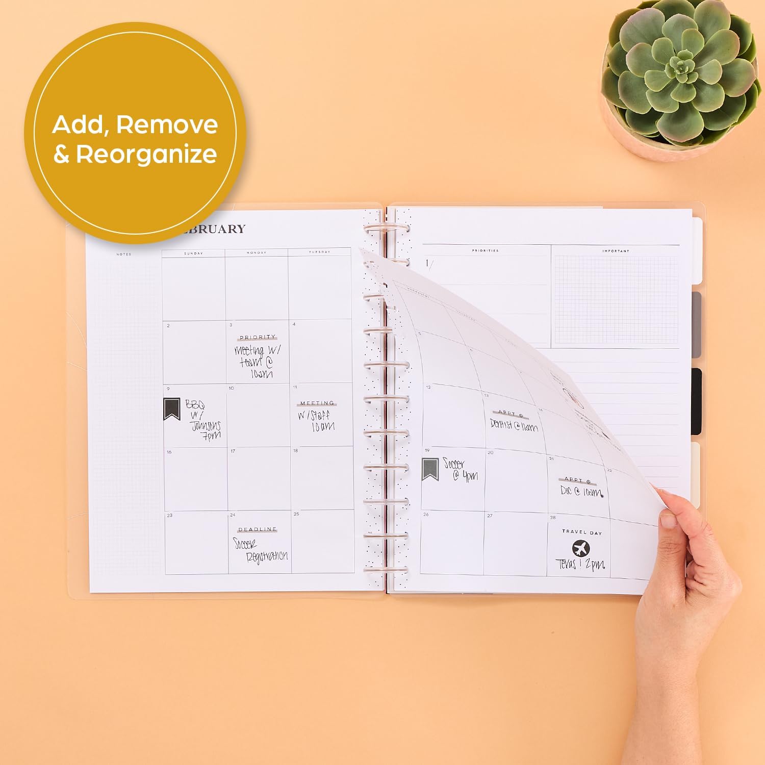 The Happy Planner Undated Plans + Notes Monthly Planner – Big (8.5″ × 11″) – Modern Texture Cover, 12-Month Undated Calendar + Lined Notes